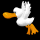The Duck of Navone